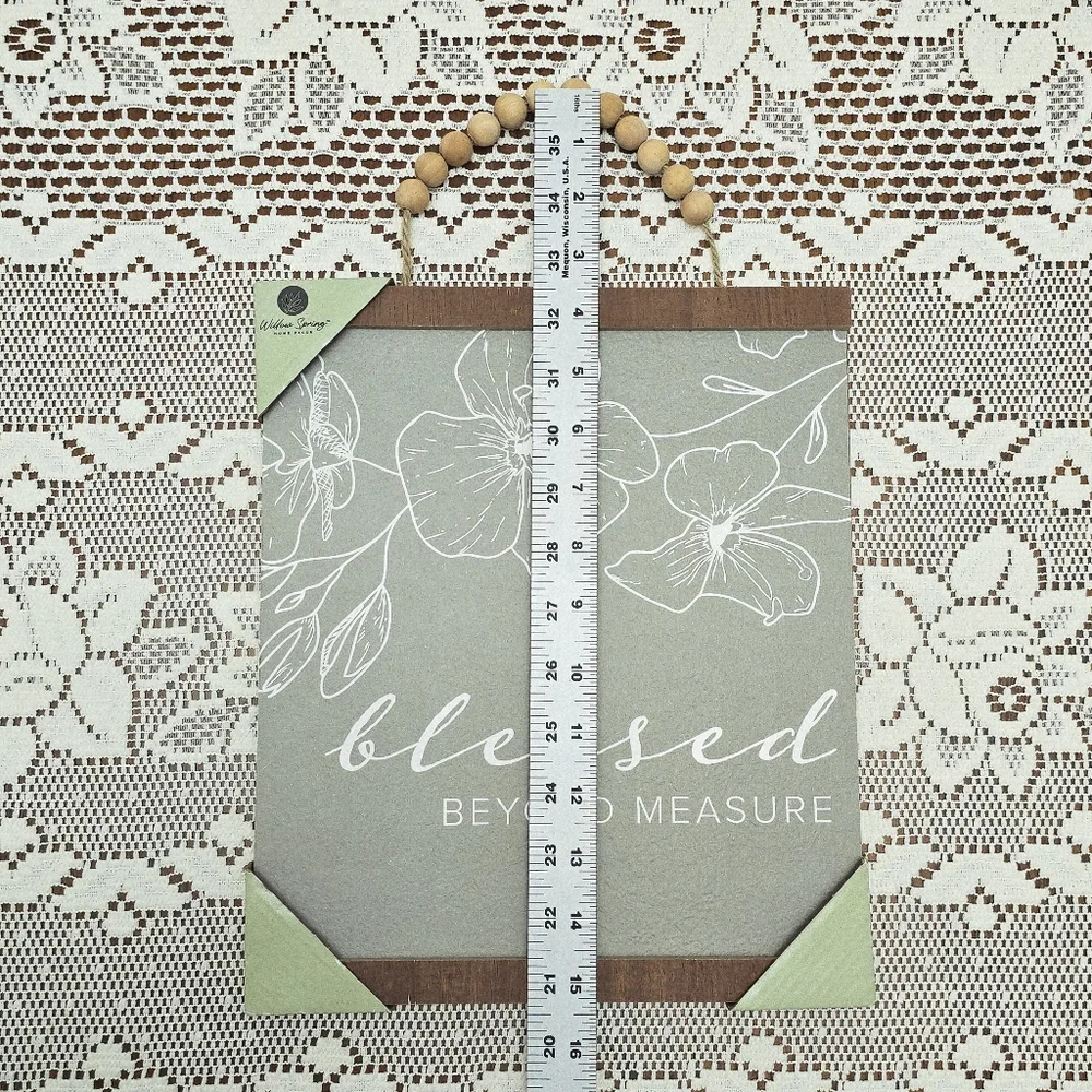 NEW Sage Green Blessed Beyond Measure Sign Willow Spring Hanging Wall Plaque
